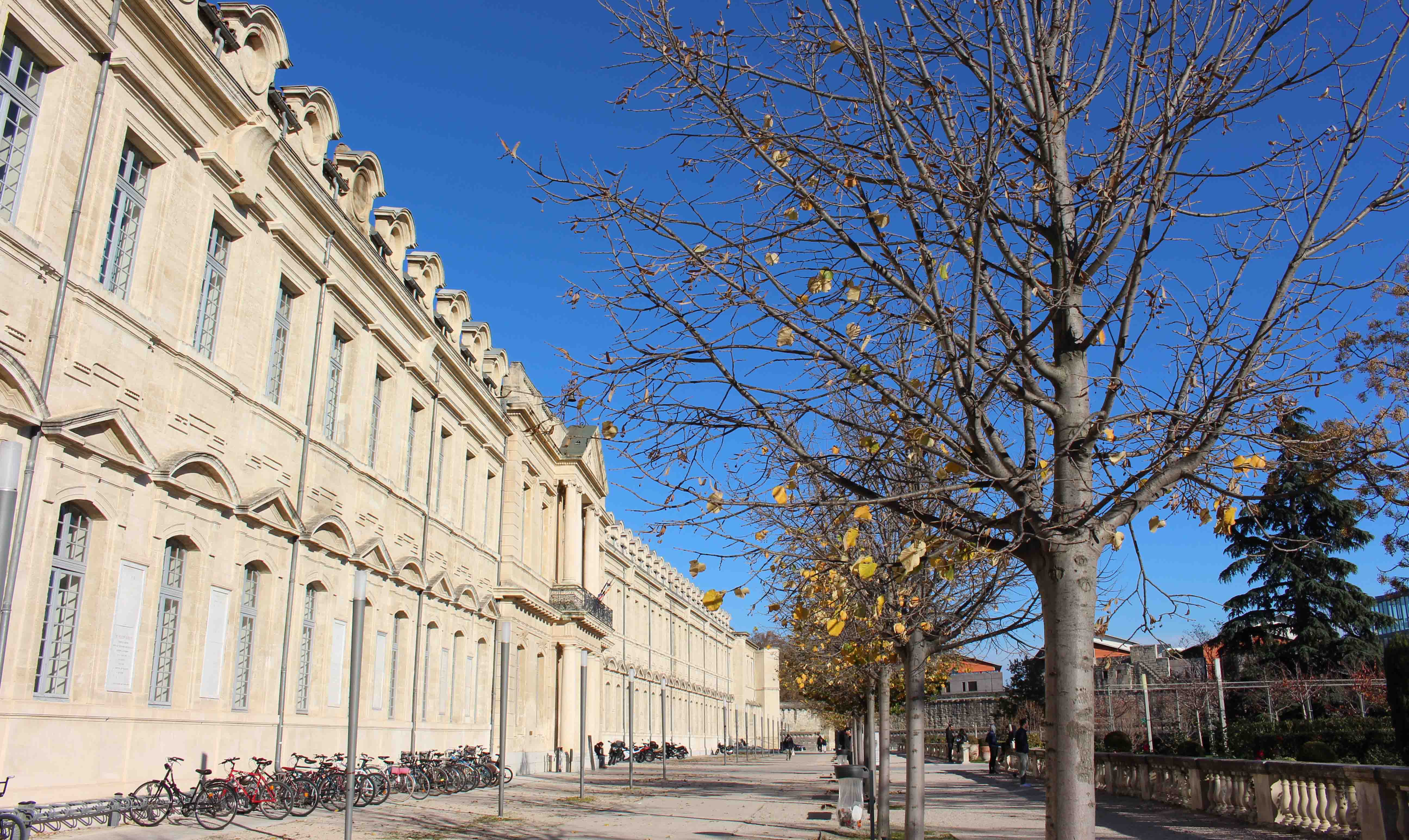 Bâtiment nord - Université Avignon - En image