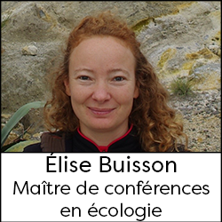 Élise BuissonMaître de conférences en écologie